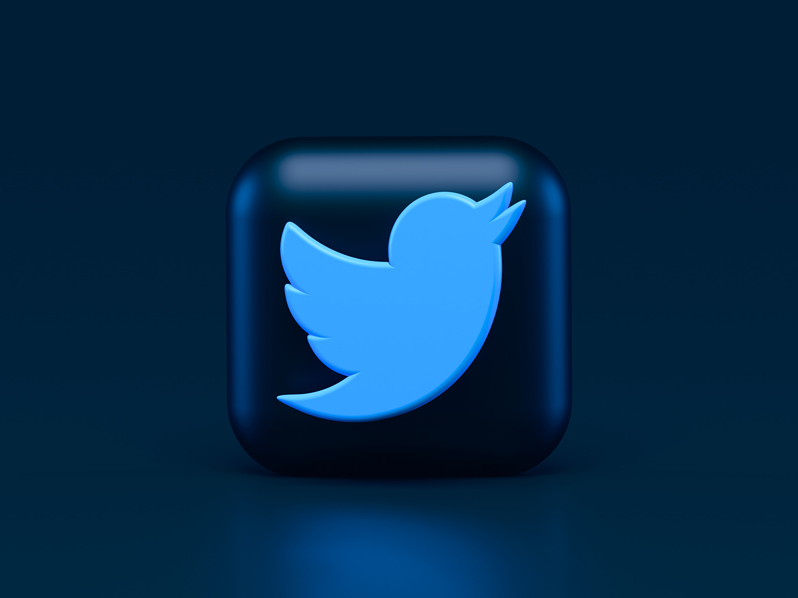 What Is Twitter Blue and Is It Worth It For Authors?